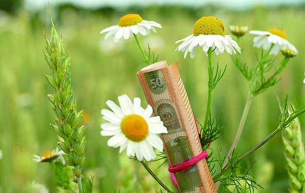 DVL-Gemeinwohlprämie ©Helge Neumann, DVL Ein eingerollter 50-Euro Schein ist an einer Blume befestigt